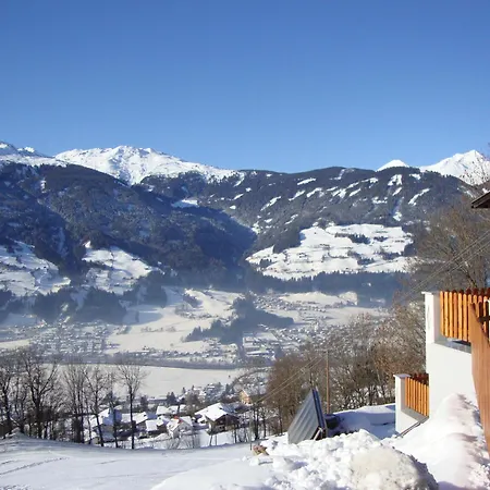 Nussbaum Stummerberg