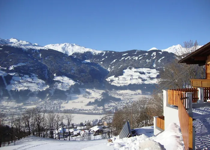 Nussbaum Stummerberg