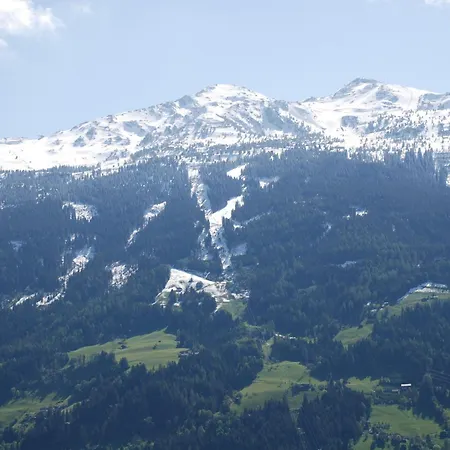 Nussbaum Stummerberg