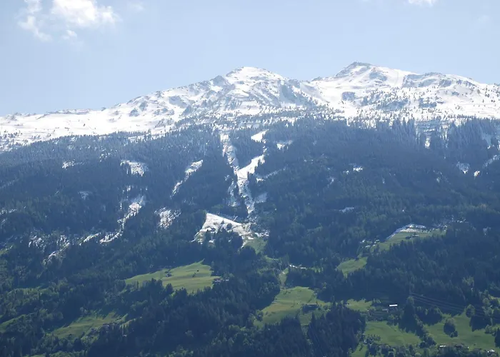 Nussbaum Stummerberg